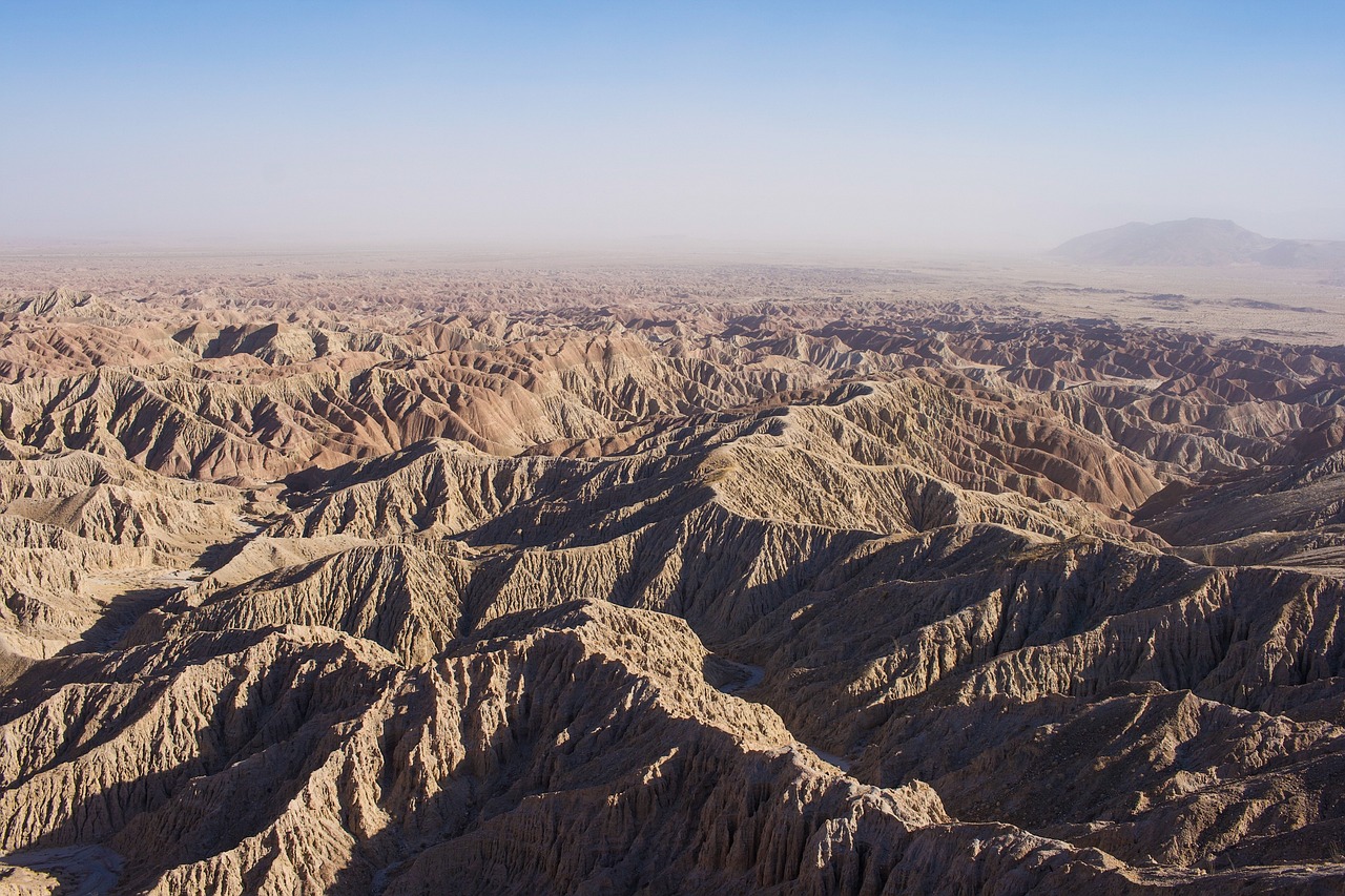 Exploring the Unique Flora of the Desert Southwest